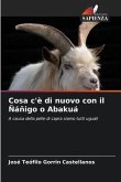 Cosa c'è di nuovo con il Ñáñigo o Abakuá