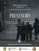 Prevención (eBook, PDF)