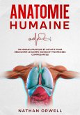 Anatomie Humaine: Un Manuel Pratique et Intuitif pour Découvrir le Corps Humain et Toutes ses Composantes (eBook, ePUB)