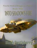 Into Shadow's Fire (eBook, ePUB)