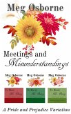 Meetings and Misunderstandings (eBook, ePUB) Meetings and Misunderstandings (eBook, ePUB)