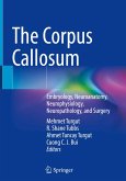 The Corpus Callosum