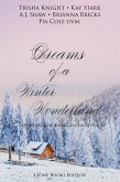 Dreams of a Winter Wonderland (eBook, ePUB)