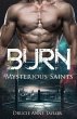 Burn (eBook, ePUB) - Bild 1