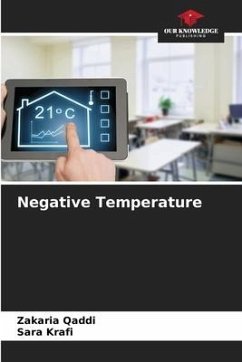 Negative Temperature - Qaddi, Zakaria;Krafi, Sara