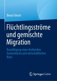 Flüchtlingsströme und gemischte Migration (eBook, PDF)