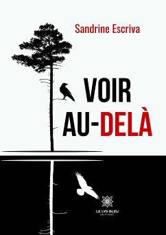 Voir au-delà (eBook, ePUB) - Escriva, Sandrine