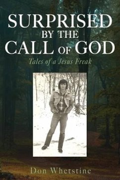 Surprised by the Call of God: Tales of a Jesus Freak - Whetstine, Don