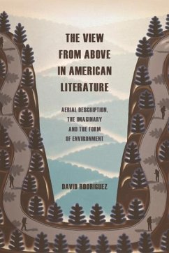 The View from Above in American Literature - David Rodriguez
