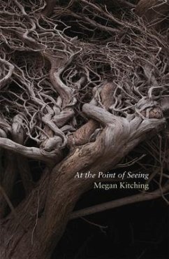 At the Point of Seeing - Kitching, Megan