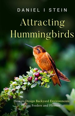 Attracting Hummingbirds - Stein, Daniel I