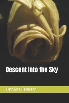 Descent Into the Sky - Peterson, Kathrina Kasha