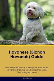 Havanese (Bichon Havanais) Guide Havanese Guide Includes