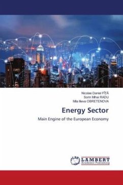 Energy Sector - FÎ_A, Nicolae Daniel;Radu, Sorin Mihai;Obretenova, Mila Ilieva