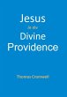 Jesus in the Divine Providence - Bild 1
