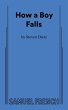 How a Boy Falls - Bild 1