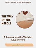 The Way of the Needle (eBook, ePUB)