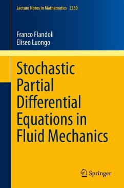 Cover Stochastic Partial Differential Equations in Fluid Mechanics (eBook, PDF)