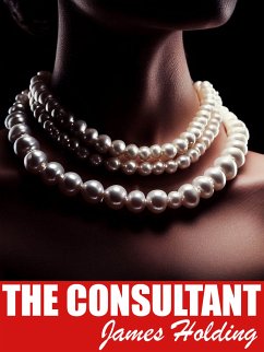 The Consultant (eBook, ePUB) - Holding, James
