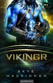Vikingr (eBook, ePUB)