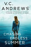 Chasing Endless Summer (eBook, ePUB)