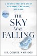 The Sky Was Falling (eBook, ePUB) - Bild 1