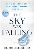 The Sky Was Falling (eBook, ePUB)