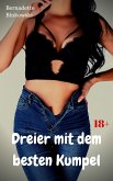 Dreier mit dem besten Kumpel (eBook, ePUB)