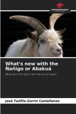 What's new with the Ñañigo or Abakuá