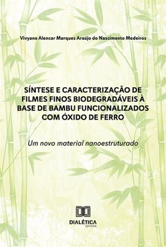 Cover Síntese e caracterização de filmes finos biodegradáveis à base de bambu funcionalizados com óxido de ferro: um novo material nanoestruturado (eBook, ePUB)