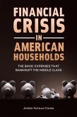 Financial Crisis in American Households (eBook, PDF)