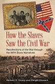 How the Slaves Saw the Civil War (eBook, PDF)
