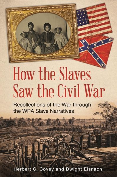 How the Slaves Saw the Civil War (eBook, PDF)