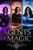 Agents of Magic The Complete Series (Seasons of Magic Universe Boxed Sets and Bundles, #2) (eBook, ePUB)