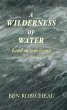 A Wilderness of Water (eBook, ePUB) - Bild 1