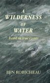 A Wilderness of Water (eBook, ePUB) A Wilderness of Water (eBook, ePUB)