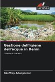 Gestione dell'igiene dell'acqua in Benin