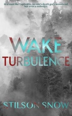 Wake Turbulence (eBook, ePUB) - Snow, Stilson