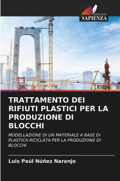 TRATTAMENTO DEI RIFIUTI PLASTICI PER LA PRODUZIONE DI BLOCCHI - Núñez Naranjo, Luis Paúl