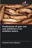 Produzione di gari con una pelatrice e un sistema solare