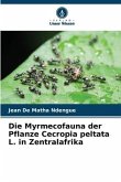 Die Myrmecofauna der Pflanze Cecropia peltata L. in Zentralafrika