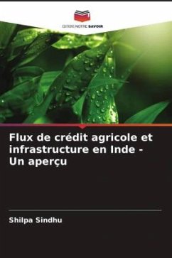 Cover Flux de crédit agricole et infrastructure en Inde - Un aperçu