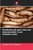 Produção de gari com um descascador e um sistema solar