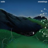 Assemblage (180 Gr.Black Vinyl+Download)