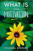 What Is Your Motivation? (eBook, ePUB)