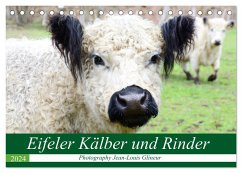 Eifeler Kälber und Rinder (Tischkalender 2024 DIN A5 quer), CALVENDO Monatskalender - Glineur, Jean-Louis