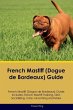 French Mastiff (Dogue de Bordeaux)... - Bild 1