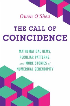 Cover Call of Coincidence (eBook, ePUB)