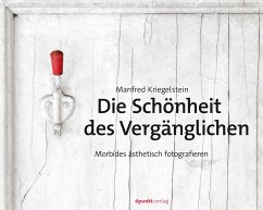 Die Schönheit des Vergänglichen (eBook, PDF) - Kriegelstein, Manfred