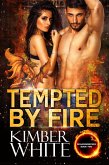 Tempted by Fire (Dragonkeepers, #2) (eBook, ePUB)